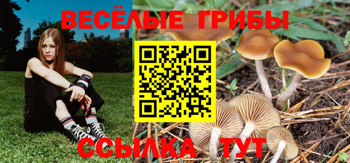 Псилоцибиновые грибы мухоморы  Вход с VPN  Альметьевск  Псилоцибиновые грибы прущие грибы 